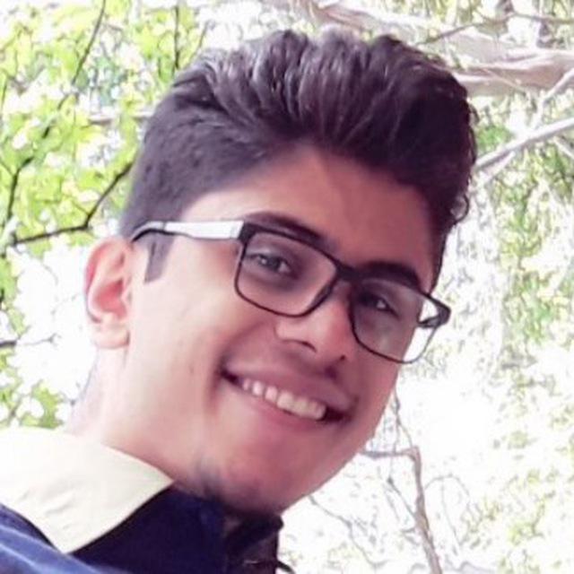 Matin pirasteh - building and designing a website and organizational management systems