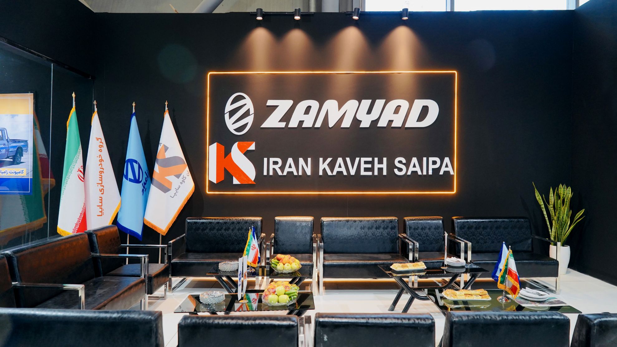 تصویر  زامیاد