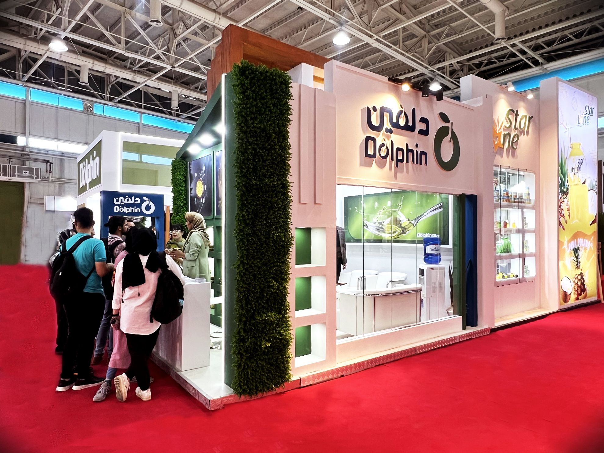 Picture of زیتون دلفین